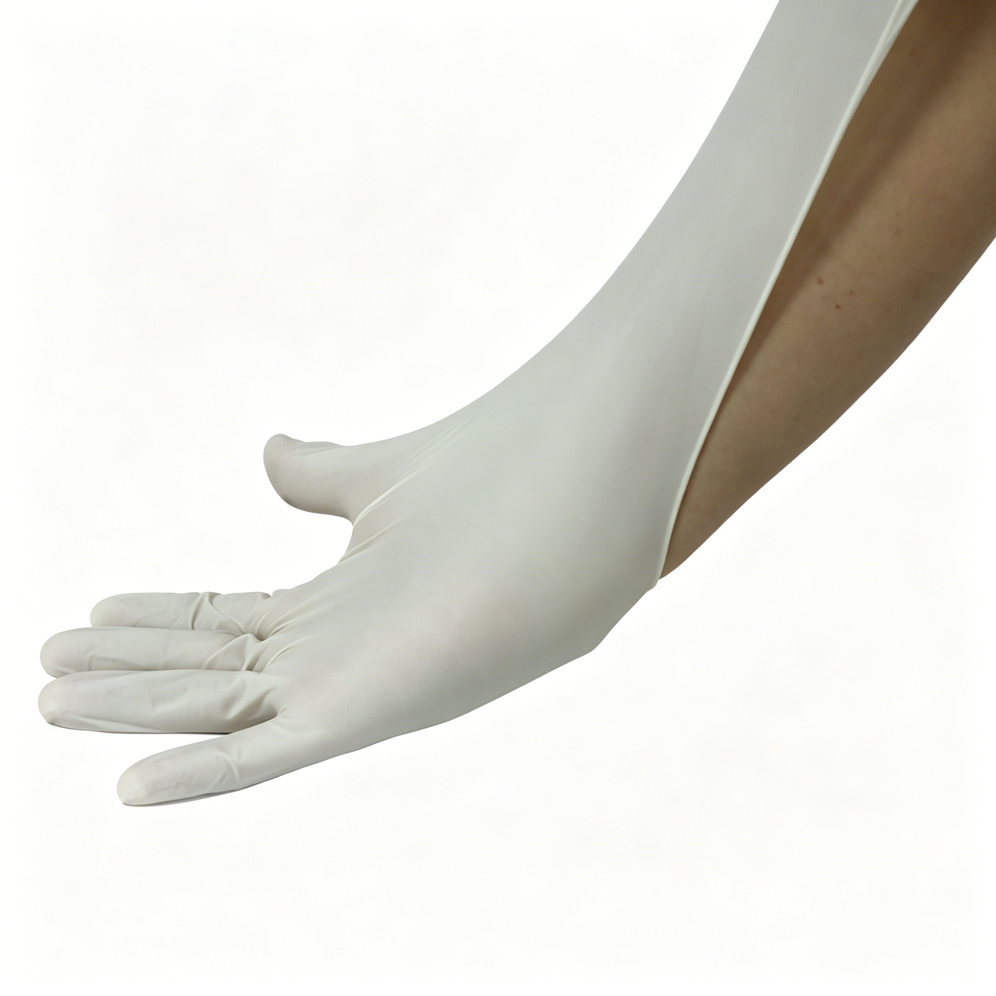Одноразовые медицинские резино – обзор и цена Latex Disposable Glove