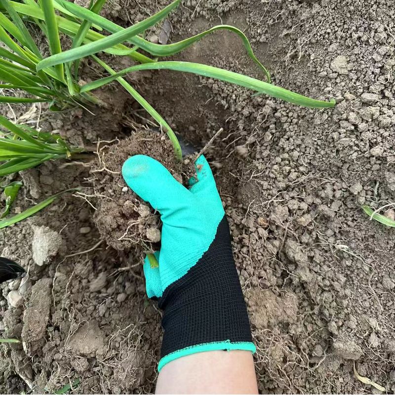 Садовые перчатки со встроенным – обзор и цена Gardening Glove Waterproof